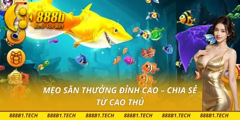 Kinh nghiệm vàng dành cho người chơi bắn cá
